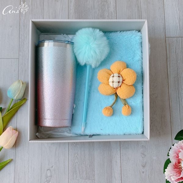  Quà tặng đồng nghiệp nữ ý nghĩa, quà tặng công sở GS1071 