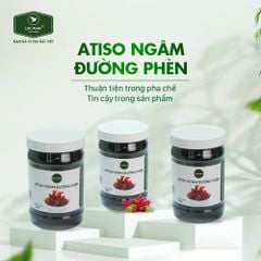 ATISO NGÂM ĐƯỜNG PHÈN TOPPINGREEN 1KG