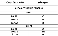 TUBYCATU | ALISA OFF SHOULDER DRESS - BROWN