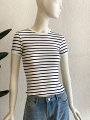 TUBYCATU | Áo thun trắng sọc đen