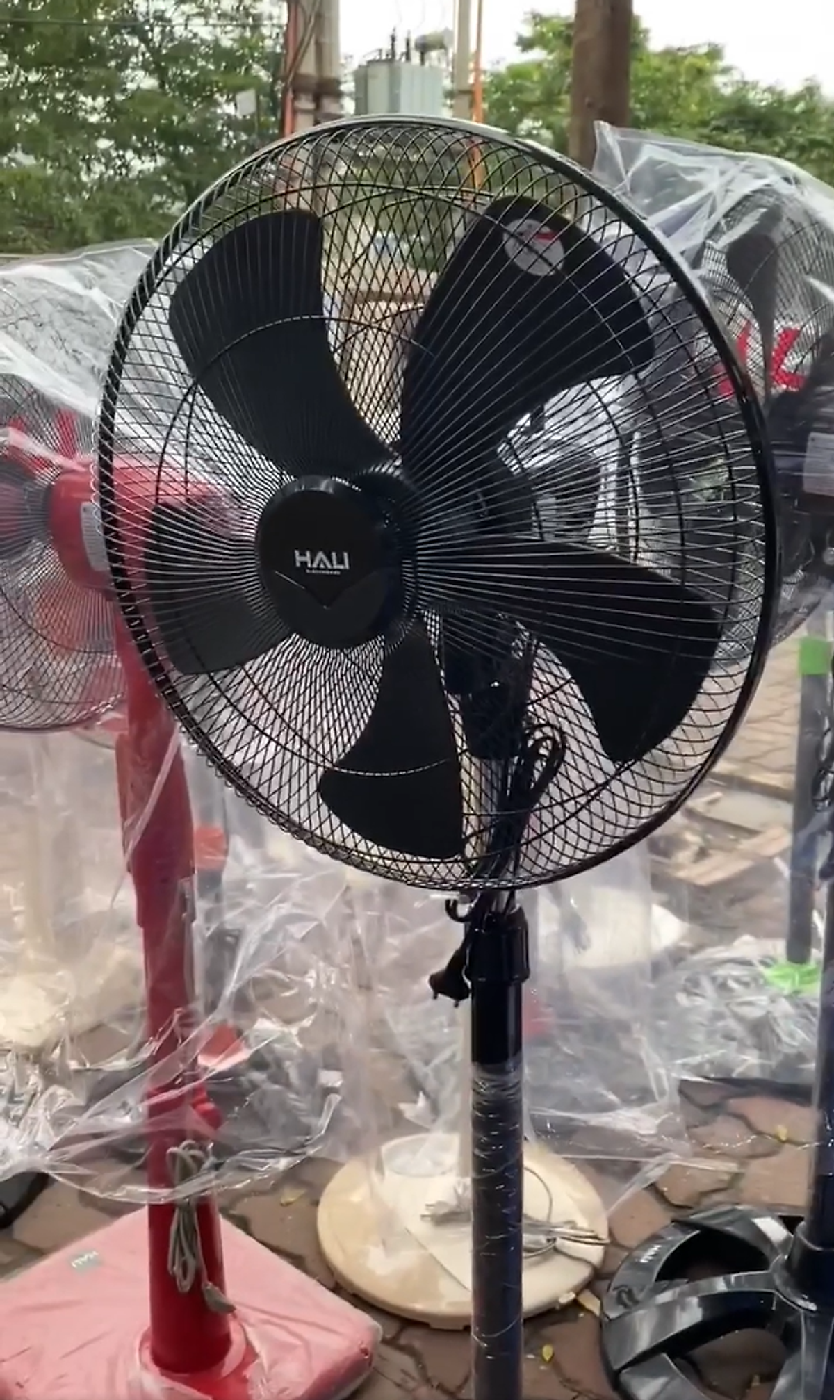 Quạt Đứng công nghiệp HALI  DC209 -50cm -140W