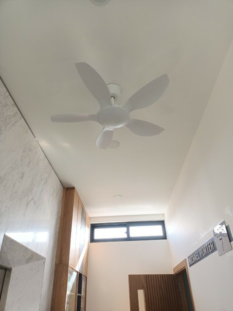 Quạt trần cao cấp THIN 56B - Made in Malaysia - 100cm (Miễn phí giao hàng và lắp đặt khu vực TP.HCM)