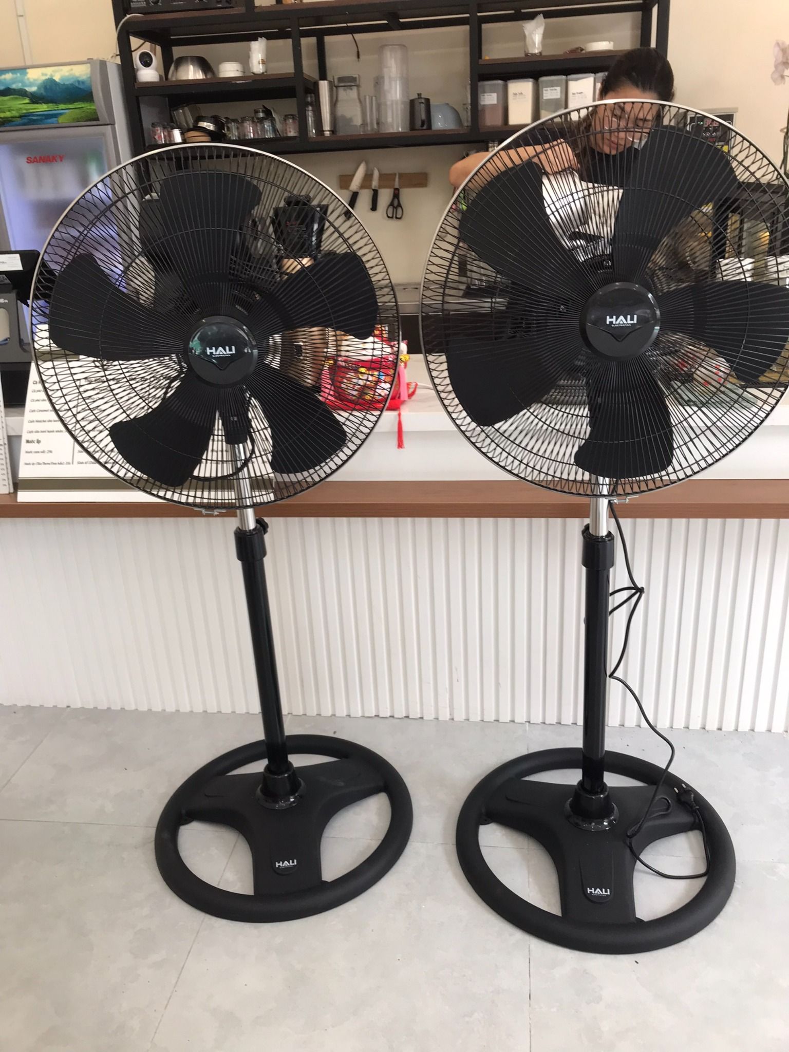 Quạt Đứng công nghiệp HALI  DC209 -50cm -140W