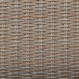 Dây nhựa giả mây DAVI-144