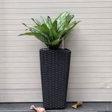 chậu đan khung sắt vuông vát