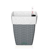 Chậu sơn cát trắng đan dây