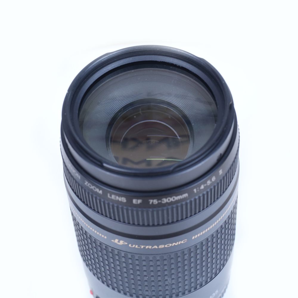⭐️大迫力⭐️Canon EF 75-300mm F4-5.6Ⅱ 超望遠レンズ