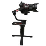  Gimbal weebill S 2nd 