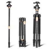  Chân tripod Beike Q999H 