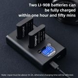  Combo 2 pin 1 sạc LI90B cho Ricoh GR 
