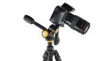  Đầu dầu tripod đa hướng Beike Q-80 