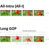  Máy ảnh Sony A7S3 ( 2nd ) 