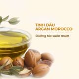  Dầu Gội Natufres Moroccan Secret Tinh Dầu Argan Morocco 