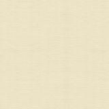 Vải dán tường không dệt Rumba 0213