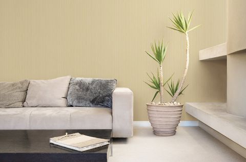 Giấy dán tường Rofy 1110