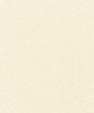 Giấy dán tường Rofy 1102