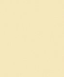 Giấy dán tường Rofy 1117-4