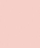 Giấy dán tường Rofy 1117-5