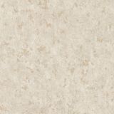 Giấy dán tường Forena 27701