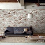 Giấy dán tường Forena 27704