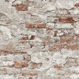 Giấy dán tường Forena 27704