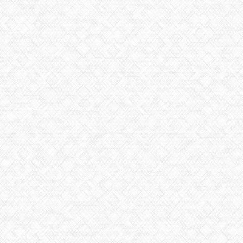 Giấy dán tường Forena 27707