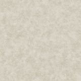 Giấy dán tường Forena 27717