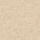 Giấy dán tường Forena 27717