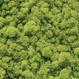 Giấy dán tường Aurora 4013-1