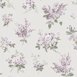 Giấy dán tường Aurora 4020 - 4021 - 4023