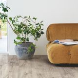 SÀN GỖ PERGO MODERN PLANK 9MM 04303