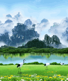 Màn Cuốn In Tranh Nhiều Chủ Đề