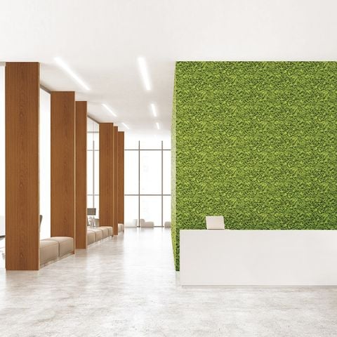 Giấy dán tường đẹp mắt