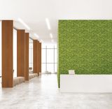 Giấy dán tường Aurora 4013-1