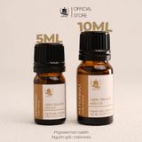  Tinh Dầu Hữu Cơ Hoắc Hương (Patchouli) - Tinh Dầu Bản Địa Indonesia 