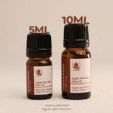  Tinh Dầu Hữu Cơ Tuyết Tùng (Cedarwood) - Tinh Dầu Bản Địa Moroco 