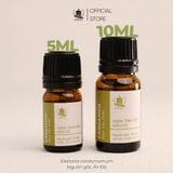  Tinh Dầu Hữu Cơ Bạch Đậu Khấu (Cardamom) - Tinh Dầu Bản Địa Ấn Độ 