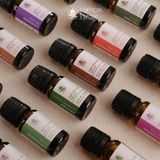  Tinh Dầu Hữu Cơ Tràm Trà (Tea Tree) - Tinh Dầu Bản Địa Australia 