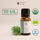  Tinh Dầu Hữu Cơ Cây Bách (Cypress) - Tinh Dầu Bản Địa Pháp 
