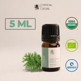  Tinh Dầu Hữu Cơ Cây Bách (Cypress) - Tinh Dầu Bản Địa Pháp 