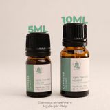  Tinh Dầu Hữu Cơ Cây Bách (Cypress) - Tinh Dầu Bản Địa Pháp 