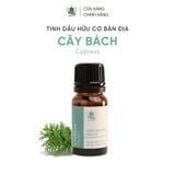  Tinh Dầu Hữu Cơ Cây Bách (Cypress) - Tinh Dầu Bản Địa Pháp 