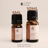  Tinh Dầu Hữu Cơ Đinh Hương (Clove Bud) - Tinh Dầu Bản Địa Indonesia 