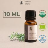  Tinh Dầu Hữu Cơ Hương Thảo (Rosemary) - Tinh Dầu Bản Địa Tây Ban Nha 