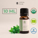  Tinh Dầu Hữu Cơ Bạc Hà (Peppermint) - Tinh Dầu Bản Địa Ấn Độ 