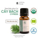  Tinh Dầu Hữu Cơ Cây Bách (Cypress) - Tinh Dầu Bản Địa Pháp 