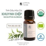  Tinh Dầu Hữu Cơ Khuynh Diệp Globulus (Eucalyptus Globulus) - Tinh Dầu Bản Địa Úc 