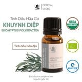  Tinh Dầu Hữu Cơ Khuynh Diệp Polybractea (Eucalyptus Polybractea) - Tinh Dầu Bản Địa Úc 