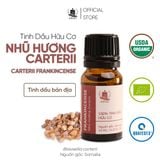  Tinh Dầu Hữu Cơ Nhũ Hương Carterii (Carterii) - Tinh Dầu Bản Địa Somalia 