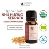  Tinh Dầu Hữu Cơ Nhũ Hương Serrata (Serrata) - Tinh Dầu Bản Địa Ấn Độ 